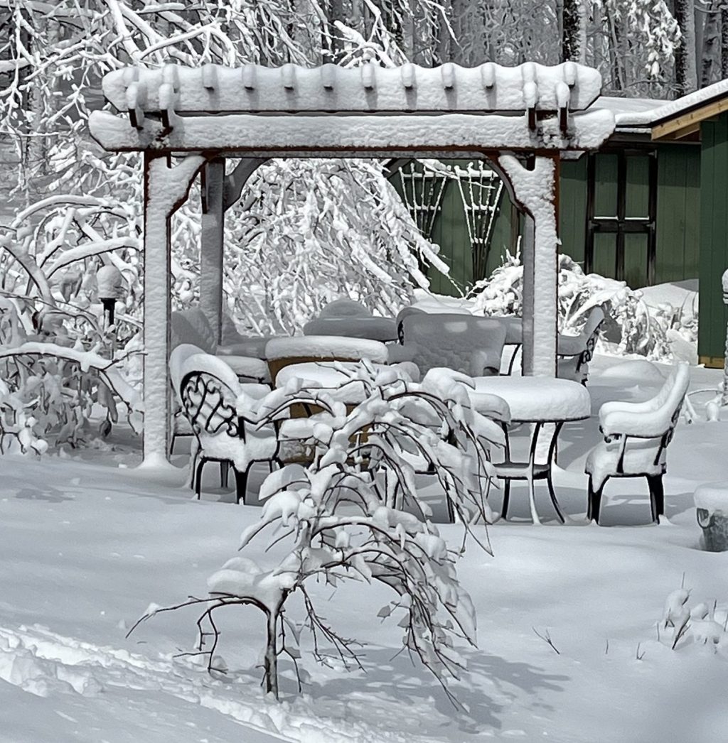 Finding Joy in Winter’s Last&nbsp;Breath