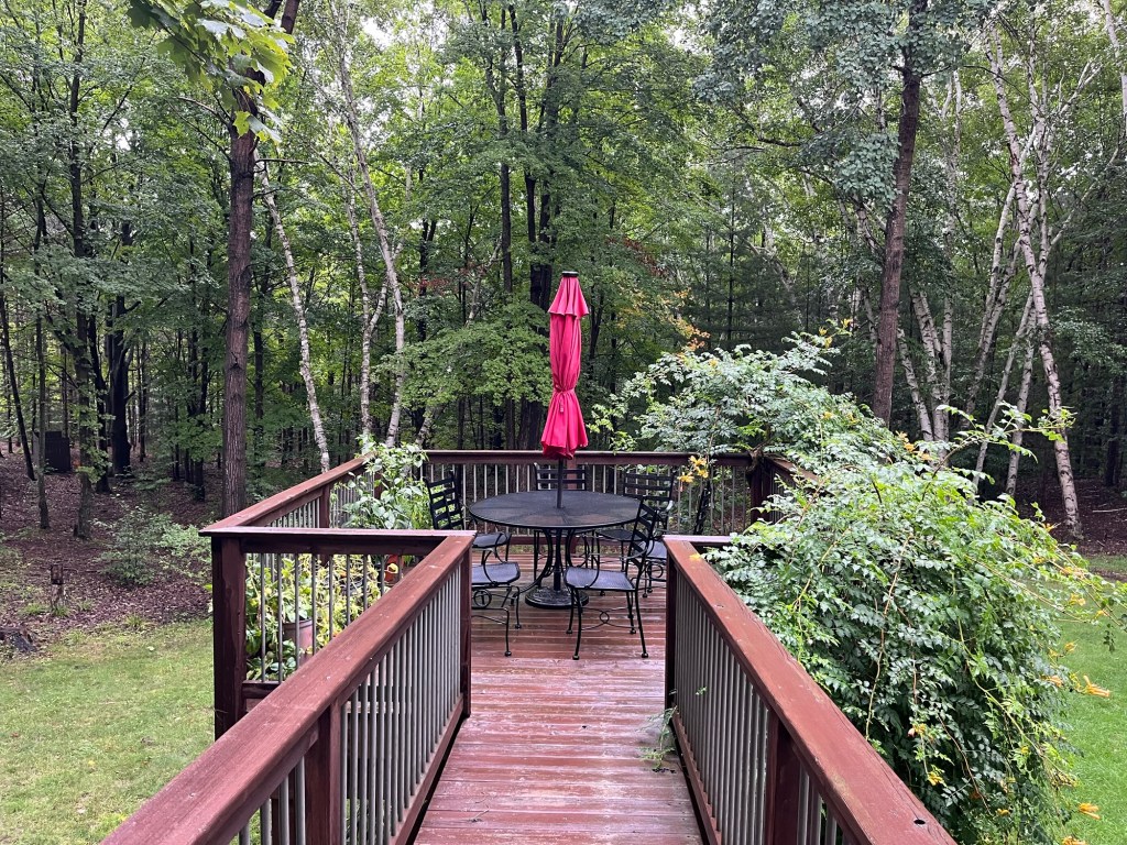 That Rainy Day&nbsp;Feeling