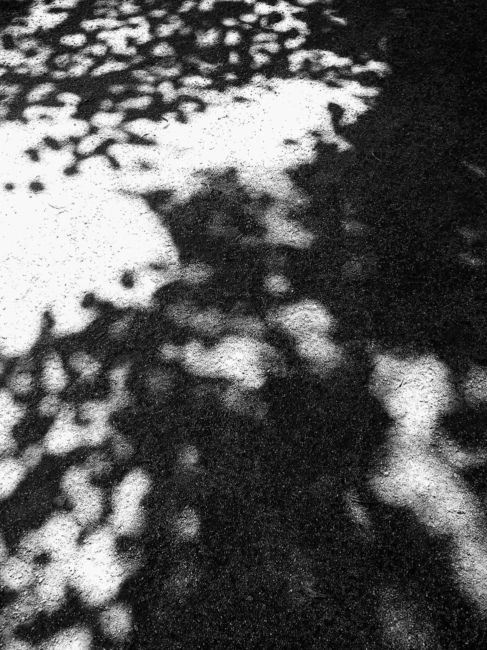 Light and Shadows